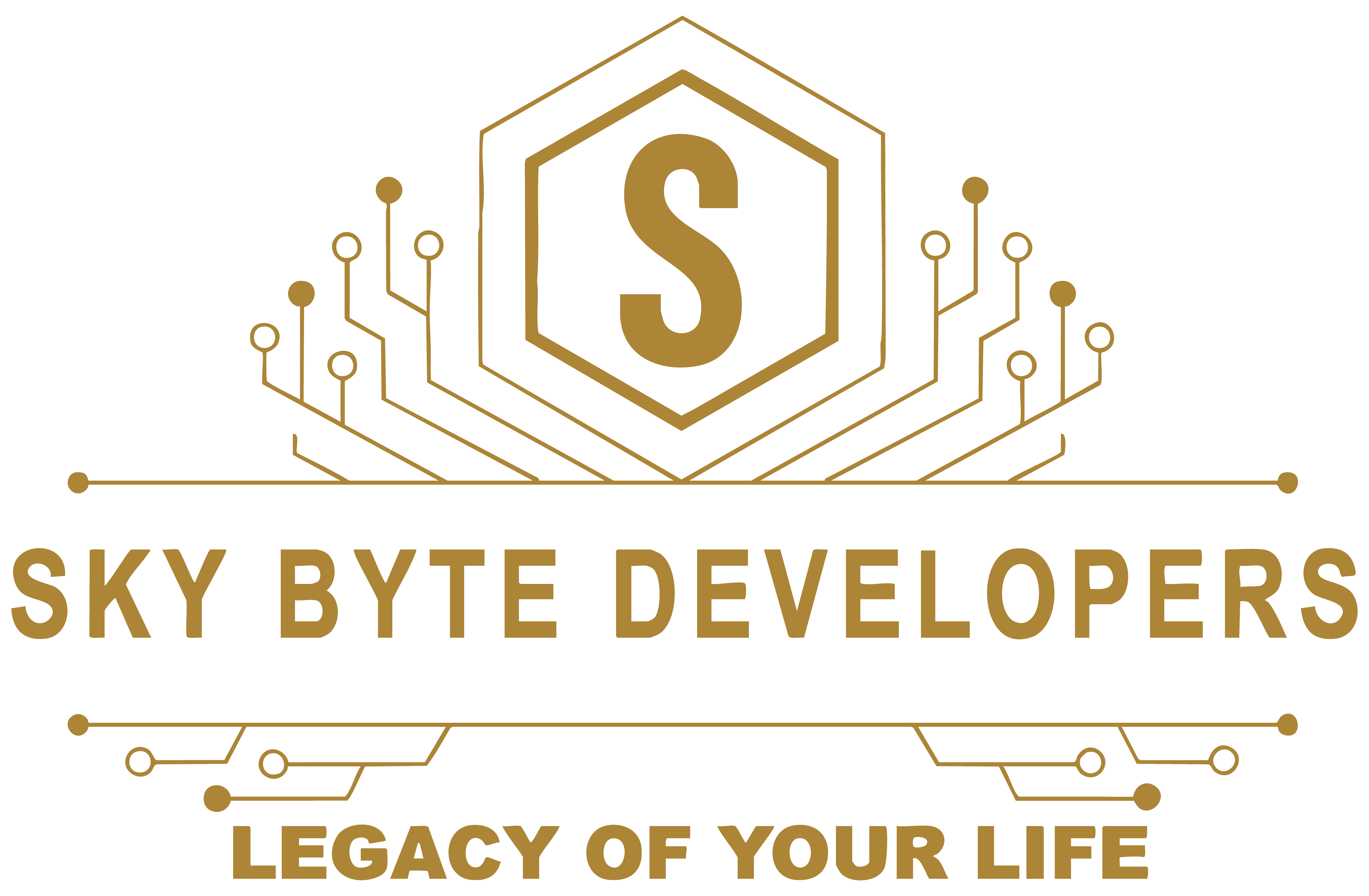 SkyByte Developers